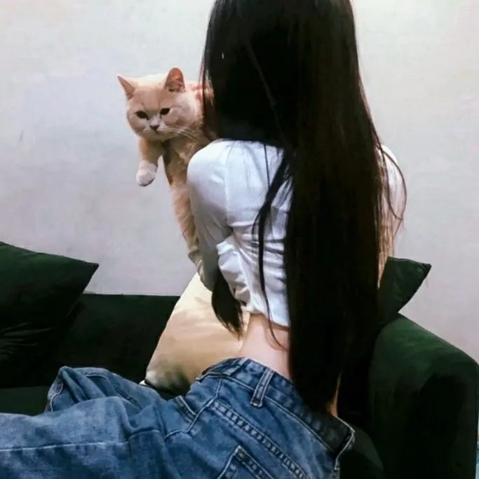 灵通汪星人